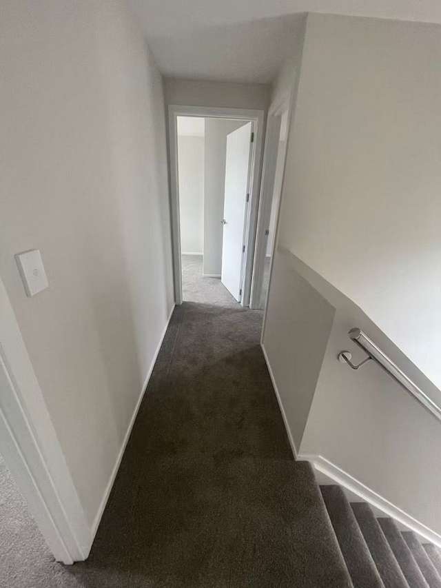 4 Lemon Tree Lane Flat Bush_3