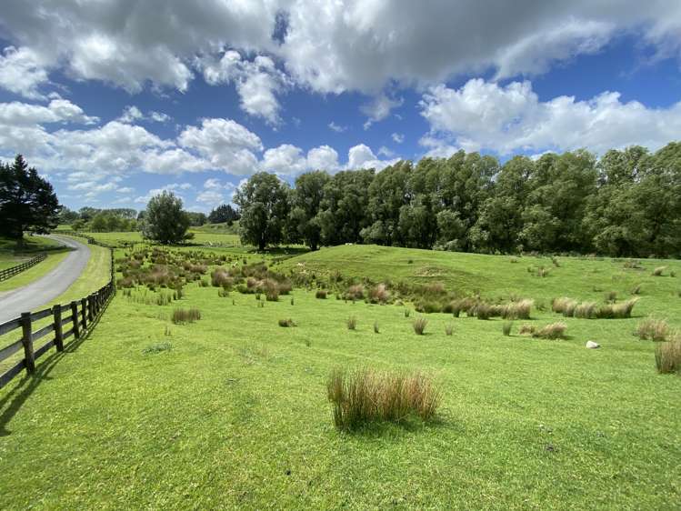 9 Buckley Road Shannon_6