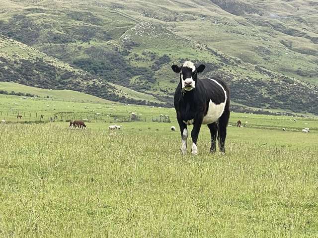 Lot 2 DP 595620 Gladbrook Road Middlemarch_2