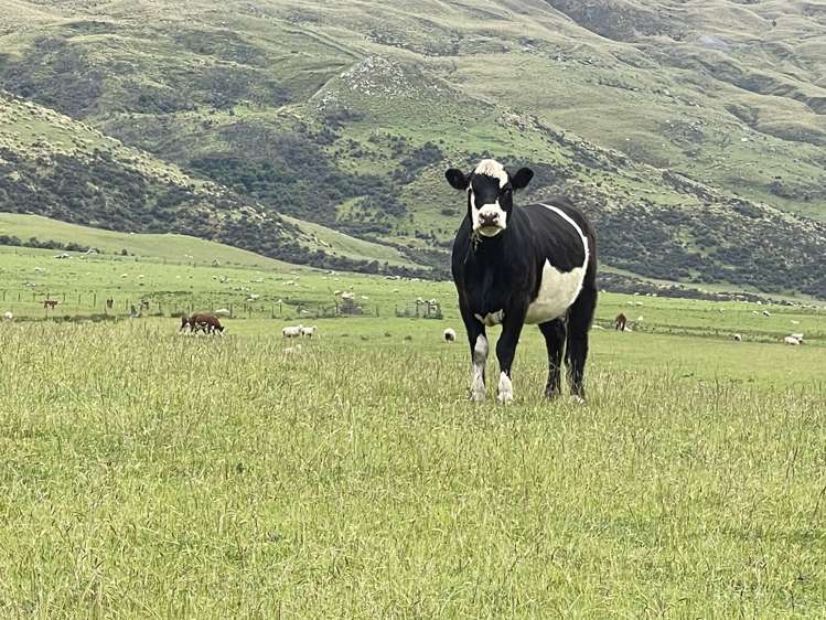 Lot 2 DP 595620 Gladbrook Road Middlemarch_2