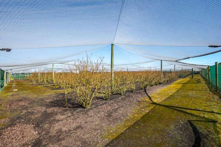 16 Arowhenua Station Road Kerrytown_66