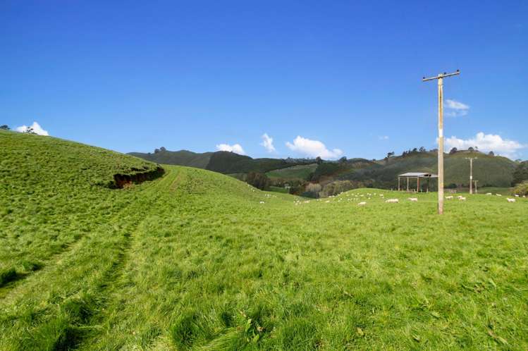 Coates Road Waikite Valley_10