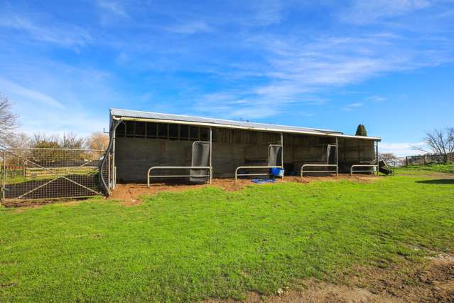 5 St Leger Road Te Awamutu_4