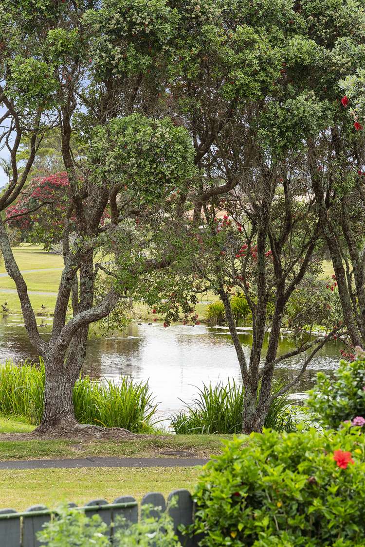 3/23 Lakeside Drive Orewa_18