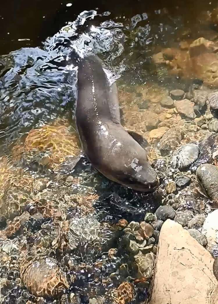 1597 Turakina Valley Road Marton_24