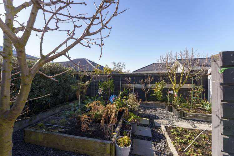 84 Tauhinu Avenue Lincoln_6