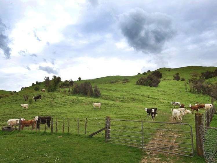 428 West Road Mauriceville_21