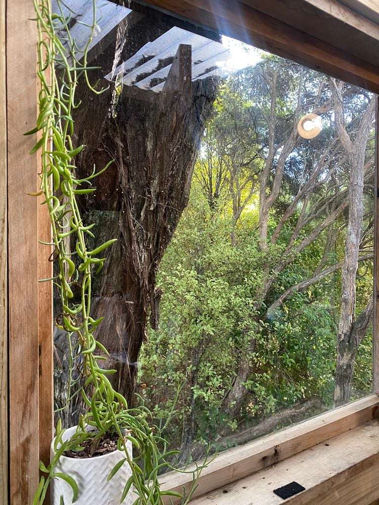 Kauri Cabin/128 Lone Kauri Road Karekare_13