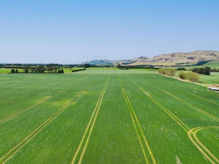 909 Nine Mile Road Riversdale_19