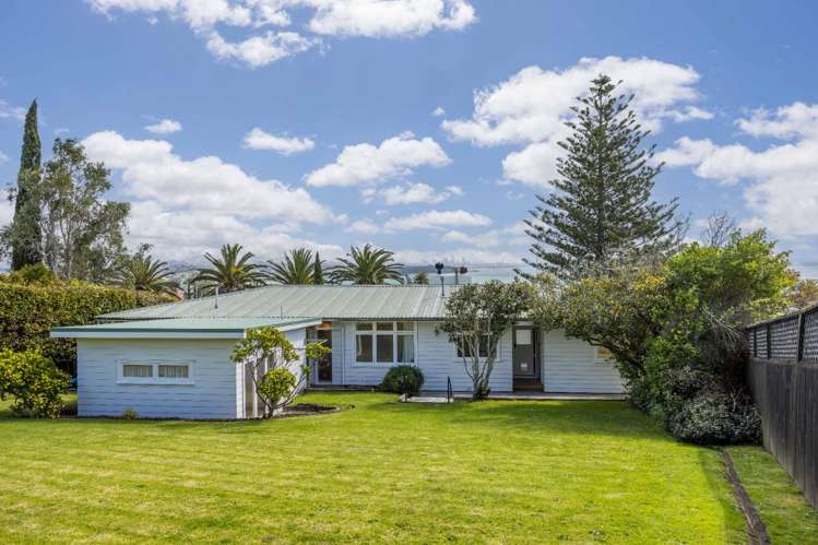 23 Springcombe Rd Saint Heliers_17