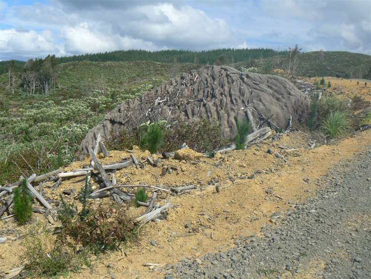 Taheke Road Horeke_13