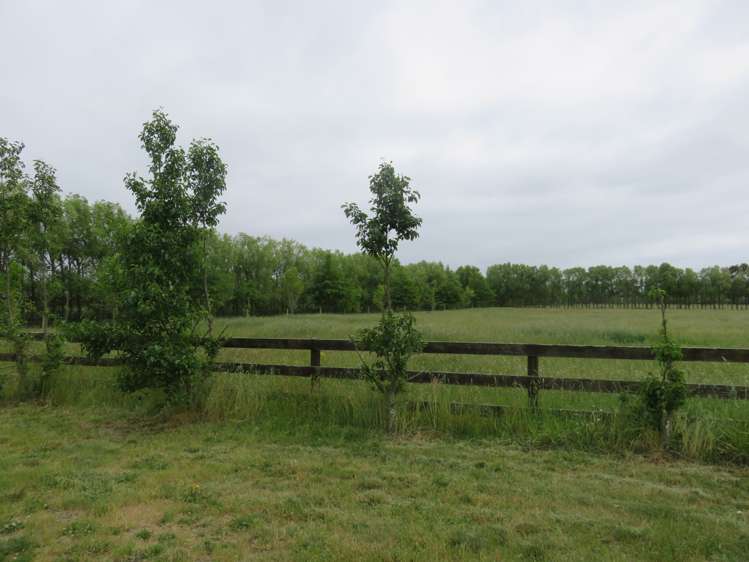 1521 Tram Road Swannanoa_2