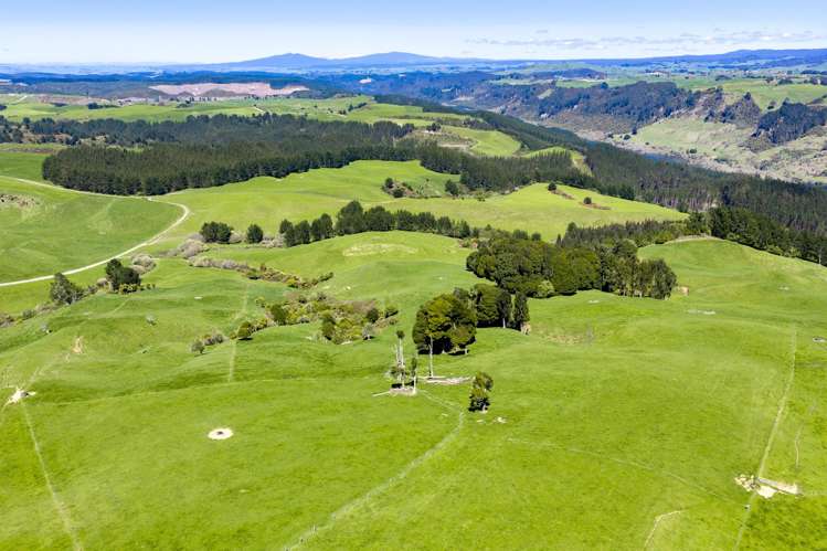 656 Waotu Road South Putāruru_5