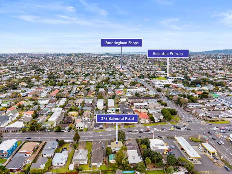 273 Balmoral Road Sandringham_20