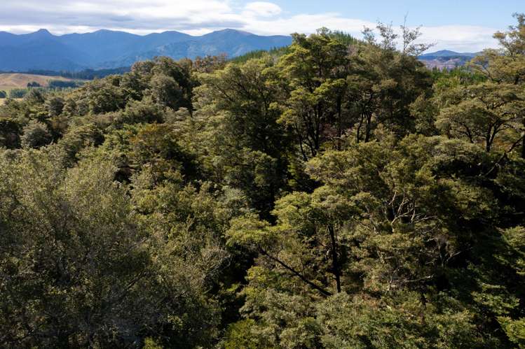 Waiwhero Road Ngatimoti_11