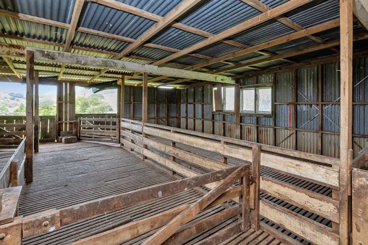 Pipiwai Road Purua_10