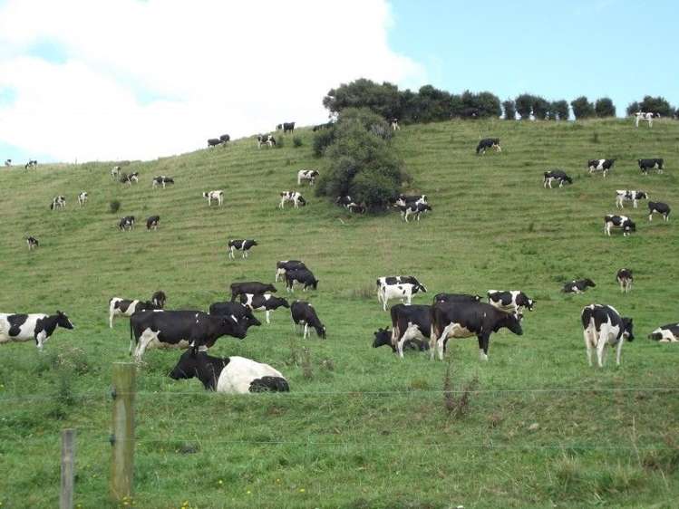 678 Wingrove Road Stratford_18