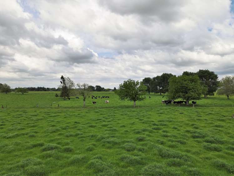 139 Taylor Road Gordonton_15