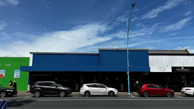 North Ground Floor/276 Maunganui Road Mt Maunganui_4