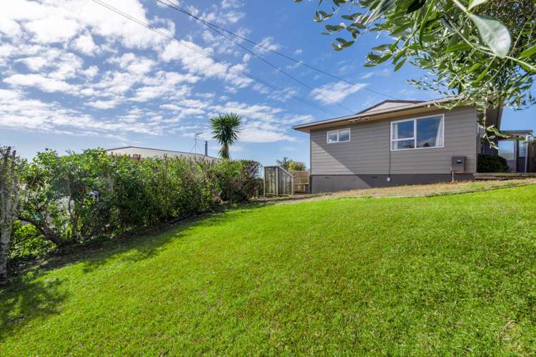 19 Homestead Road Manly_18