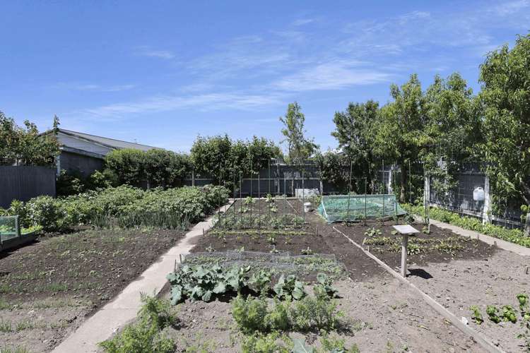 149 Thomson Street Tinwald_40