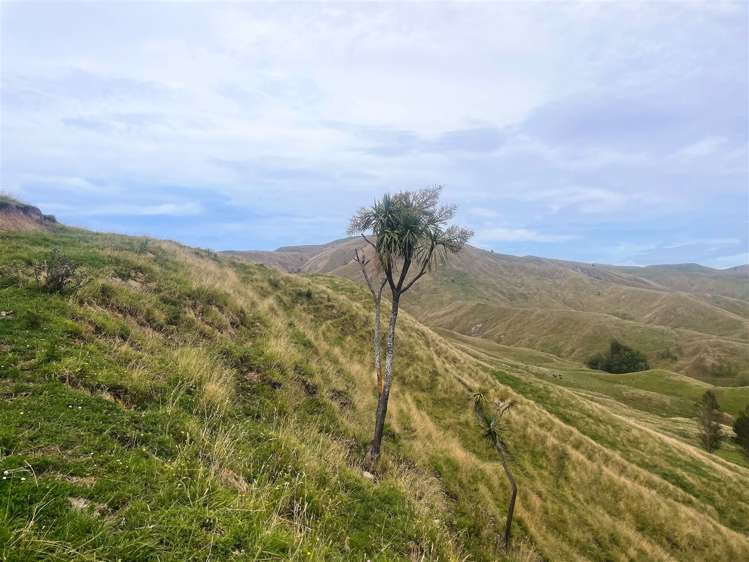 2580 Pourerere Road Central Hawkes Bay Coastal_37