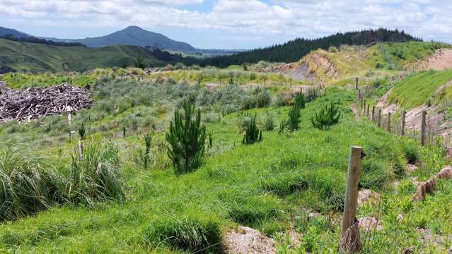 Lot 8/47 Kamea Place Maungaturoto_2