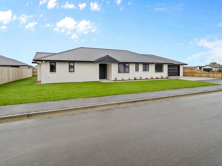 57 Catherine Street Tinwald_1