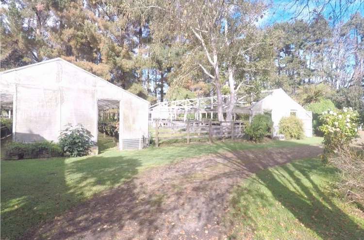 7a Allen Road Ohangai_25