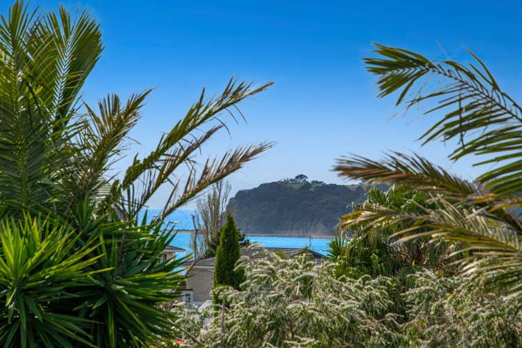 37a Polkinghorne Drive Manly_12