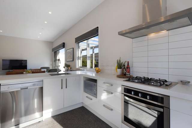 67 Devonshire Road Miramar_4