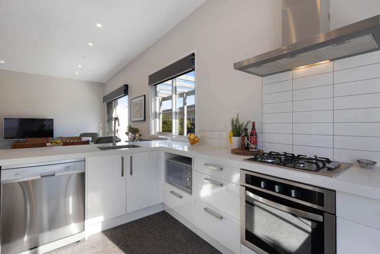 67 Devonshire Road Miramar_4