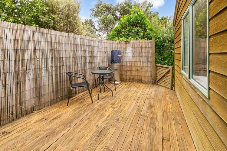 18 Darlington Terrace Miramar_12