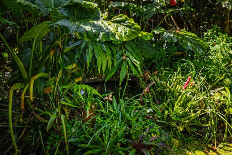 125 Settlers Way Okaihau_24