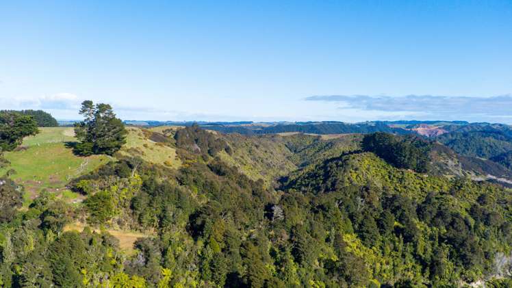 1304 Tokomaru East Road Brunswick_9