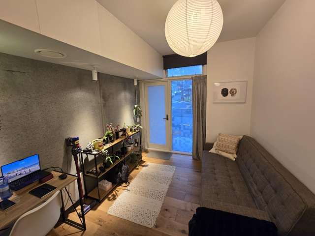 267B Willis Street 2185_2