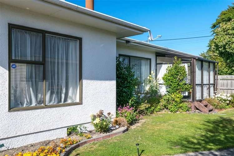 34 Murphys Road Springlands_7