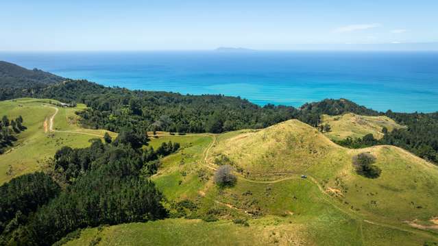 31 Ngatitangata Road Waihi_1