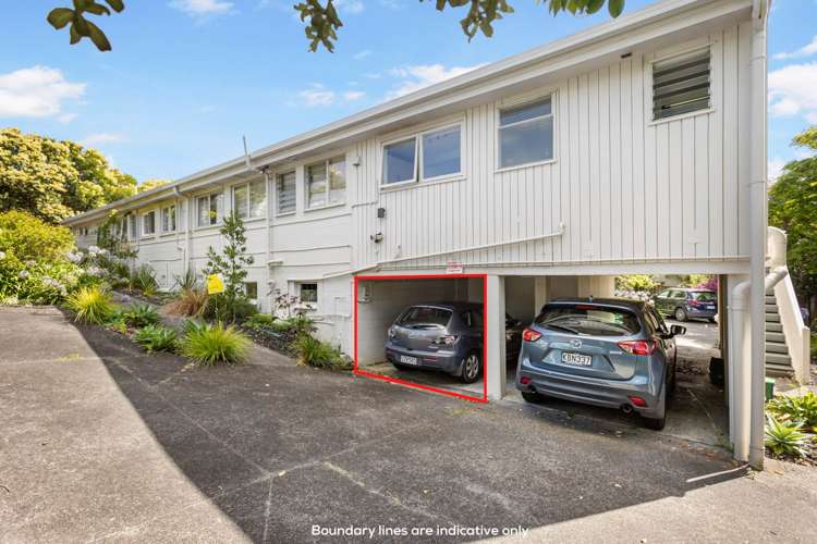 3/19a Forrest Hill Road Milford_13