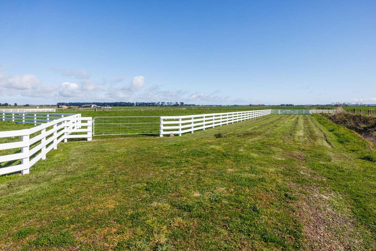 Lot Lot 1 and 2/964 Kairanga Bunnythorpe Road_5