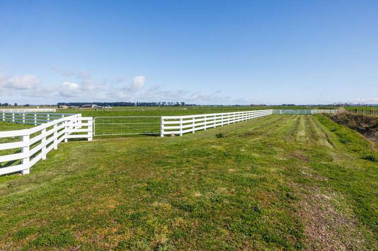 Lot Lot 1 and 2/964 Kairanga Bunnythorpe Road Kairanga_9