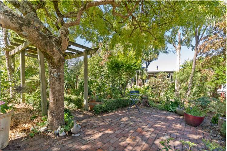 62 Cole Street Masterton_17