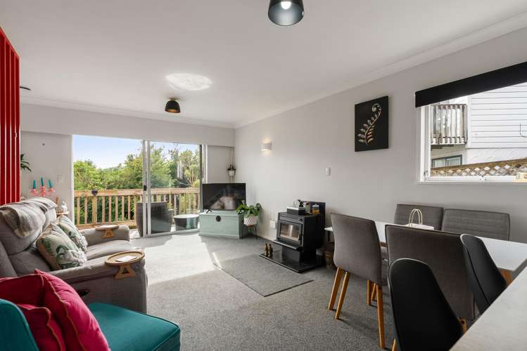 3/49 Mandalay Terrace Khandallah_10