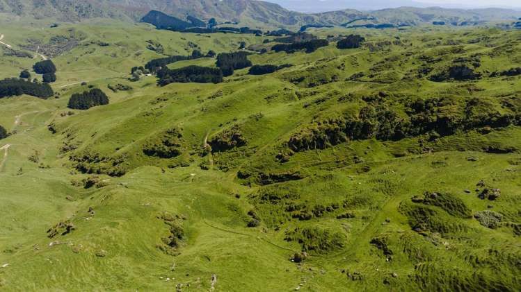 1337 Coonoor Road Pahiatua_7