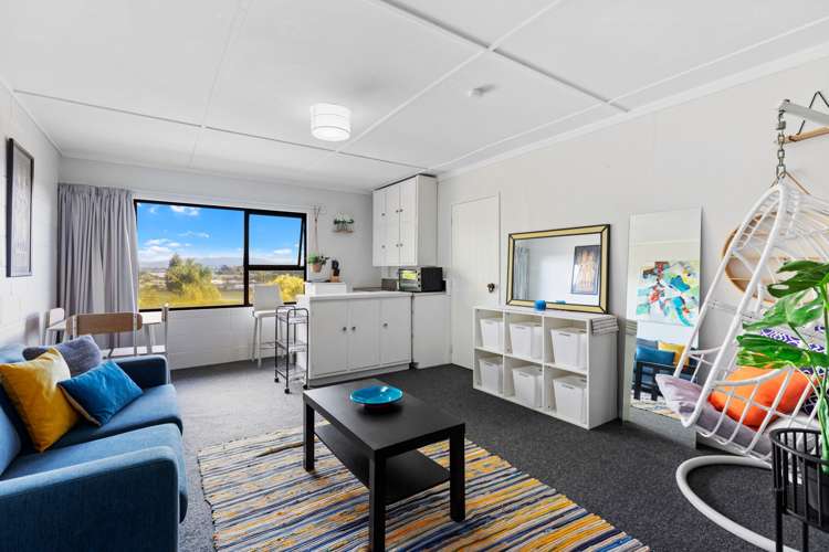 43 Carlton Street Bellevue_13