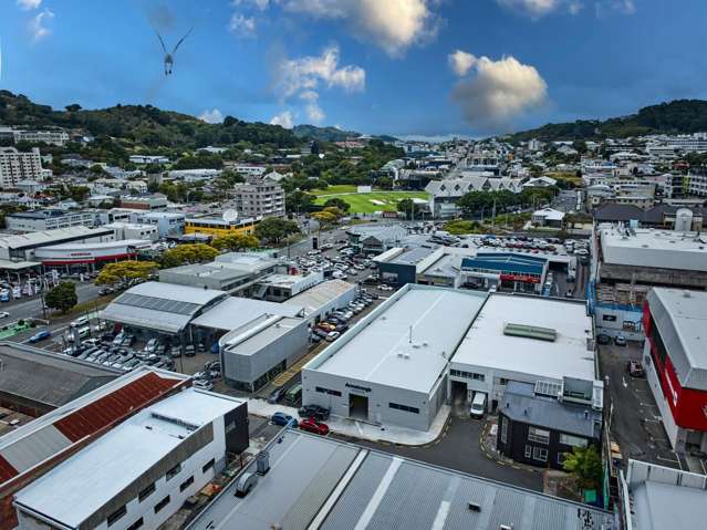 21 Vivian Street Te Aro_2