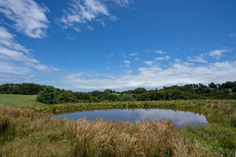 383 Owhiwa Road Parua Bay_4