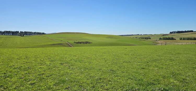 1550 Waimumu Road Te Tipua_16
