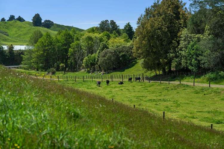 1849 Manawahe Road Manawahe_50