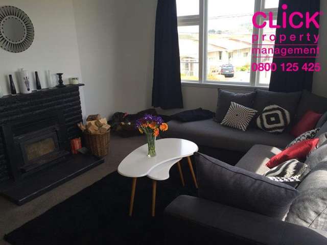 Otago Street Picton_2